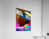 DOUBLE VISION - THE GUY INSIDE  Acrylic Print