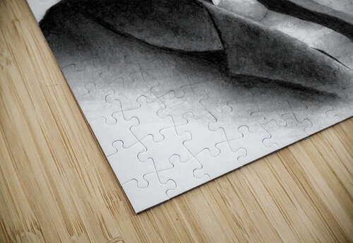 Einstein Wayne Pascall Art puzzle
