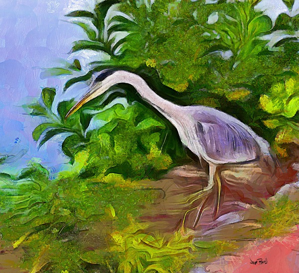 Feathered Friend Print