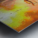 A Tear  Drop from Heaven Metal print