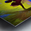 A DANCE IN THE TROPICAL SUNSET Metal print