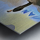 Way to God Metal print