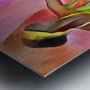 Soul Sisters Metal print