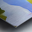 Girl Under A Tree Metal print