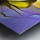 coconut delight Metal print