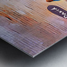 Slay Your Goliath Metal print