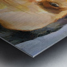 Abraham Lincoln Metal print