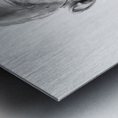 Mahatma Gandhi Metal print