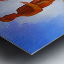 WILL YOU MARRY ME  Metal print