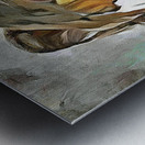 PRODIGAL DAUGHTER  Metal print