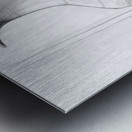 Morning Drawing Metal print