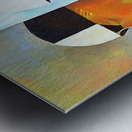 Different Races Different Faces 01 Metal print