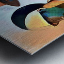 Different Races Different Faces 02 Metal print